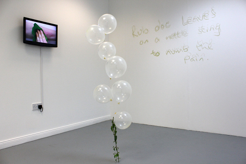  Anne Quail: cure i us, 2012, installation shot; courtesy / photo the artist